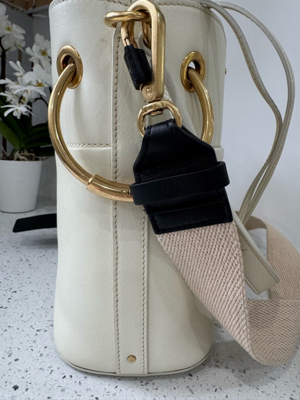 Chloe Ivory Leather Roy crossbody shoulder Bag - Picture 10 of 13